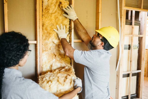 Types of Insulation We Offer in Bridgeport, MI